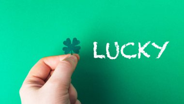 clover for good luck in a male hand on a green background with space for text. High quality photo clipart