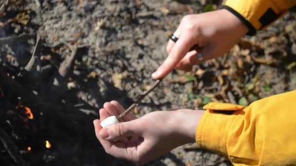 Női Kéz Tesz Mályvacukrot Botra Őszi Erdőben Kemping Élelmiszer Tűz — Stock videók