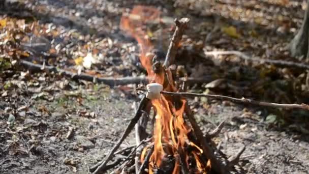 Niña Patatas Fritas Malvaviscos Fuego Bosque Otoño — Vídeos de Stock