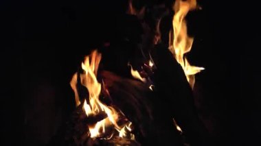 beautiful bonfire burns on beach at night in summer