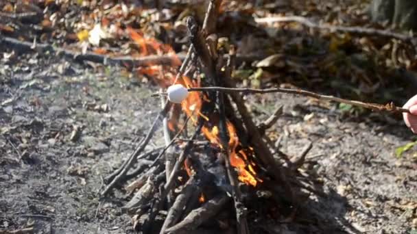 女の子は秋の森でマシュマロを燃やしています — ストック動画