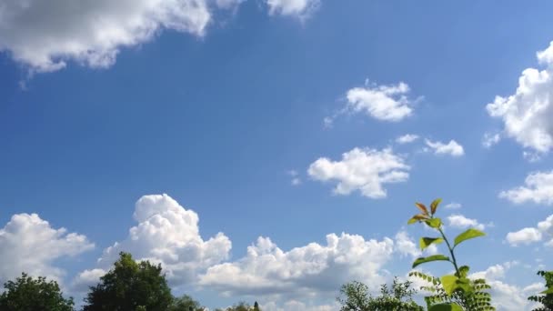 Zomer Blauwe Lucht Met Snel Bewegende Wolken — Stockvideo