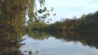 Sonbaharın başlangıcı, nehrin yanında, sararmış ağaçlarla.