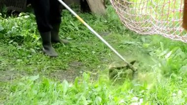 Adam, çim biçme makinesiyle çim biçiyor. Yüksek kaliteli video.