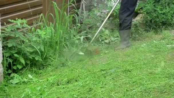Κηπουρός Κουρεύει Γκαζόν Στον Κήπο Του Καλοκαίρι Υψηλής Ποιότητας Βίντεο — Αρχείο Βίντεο