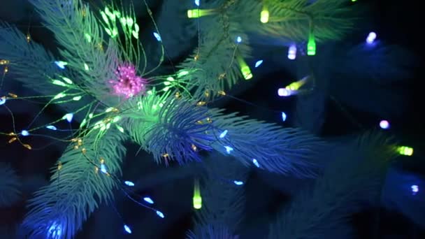Neon Christmas Magic Vídeo Cautivador Una Guirnalda Brillante Abeto Festivo — Vídeos de Stock