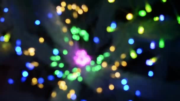 Holiday Sparkle Динамічне Відео Захоплює Мерехтливі Неонові Вогні Різдвяній Ялинці — стокове відео