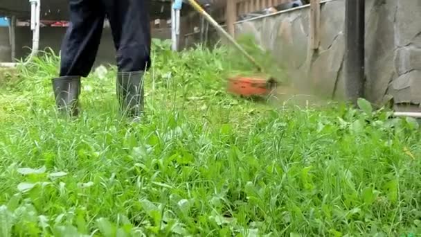彼の庭で芝生を刈る男 高品質のビデオ — ストック動画