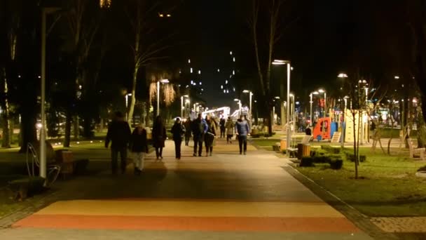 Ukraine Vinnytsia 2021 People Walking Night City High Quality Video — 图库视频影像