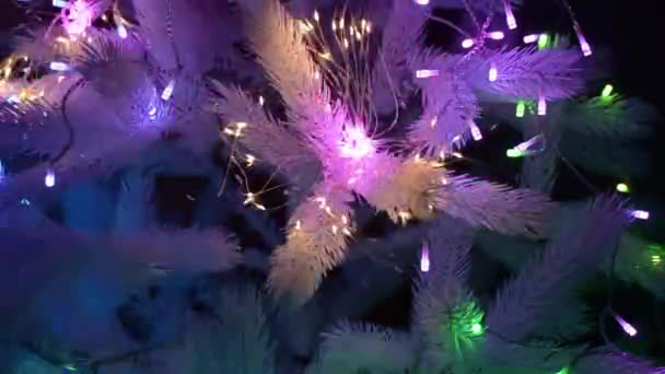 Fényes Ünnepségek Feltűnő Videó Egy Neon Világítású Karácsonyfa Ünnepek Kiváló — Stock videók