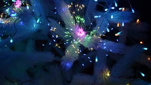 Flickering Χριστουγεννιάτικο Elegance Μαγευτικό Βίντεο Μια Γιρλάντα Νέον Φως Ένα — Αρχείο Βίντεο