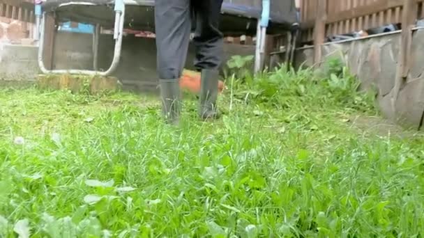 Grasmaaier Verwijdert Hoog Gras Met Elektrische Zeis Hoge Kwaliteit Video — Stockvideo