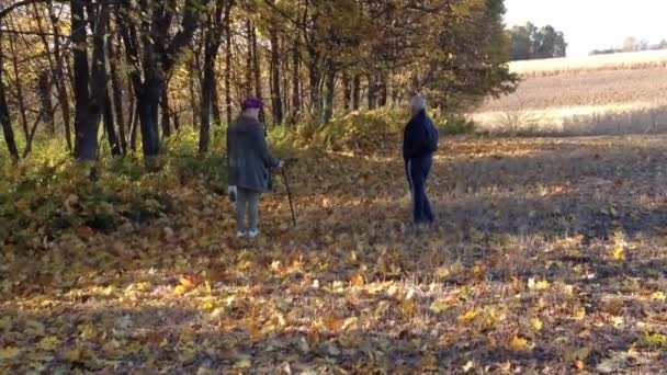 Zwei Schöne Mädchen Stehen Der Nähe Von Laubwald Feld Herbst — Stockvideo