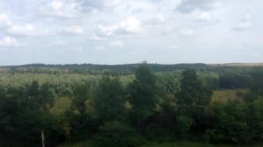 Üzerinde açık mavi gökyüzü olan güzel, yemyeşil bir orman. Ağaçlar uzun ve yayılmış. Huzurlu ve huzurlu bir atmosfer yaratıyorlar.