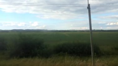 Arka planda bulutlu bir gökyüzü olan bir çimen tarlası. Gökyüzü çoğunlukla mavi ve bulutlar etrafa saçılmış.