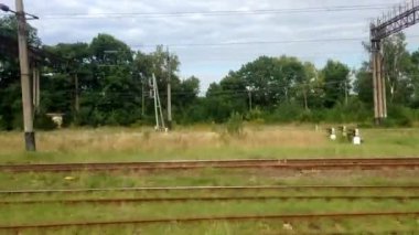 Arka planda birkaç ağaç olan bir tren yolu. Tren rayları boş.