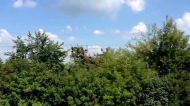 Tren penceresinden görülen elektrik hatlarını taşıyan uzun bir direk yerel manzaraya bakıyor..