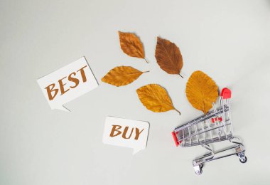 Best Buy tabelasıyla süslenmiş bir alışveriş arabası müşterileri kaliteli ürünleri keşfetmeye ve keşfetmeye davet ediyor..