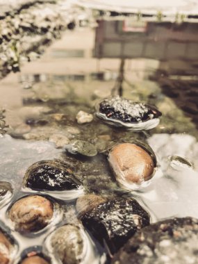 Bir grup kaya bir su kütlesinin içinde yüzüyor. Sahne sakin ve huzurlu, kayalar suda dinleniyor gibi görünüyor.