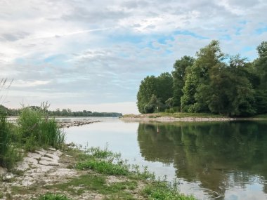 Arka planda ağaçlar olan sakin bir su kütlesi. Huzurlu doğal manzarayı göstermek ve çevrenin huzurunu yansıtmak için mükemmel..