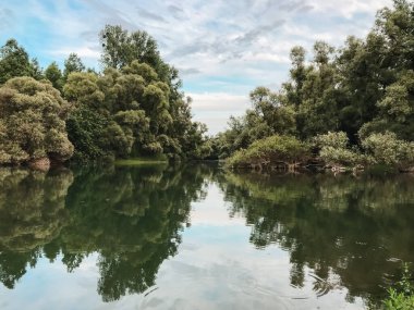 Arka planda ağaçlar olan sakin bir göl. Su durgun ve ağaçların yansıması görülebilir.