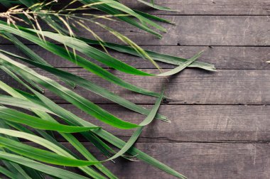 Bir grup yeşil yaprak ahşap bir yüzeyde. Yapraklar uzun ve incedir ve yüzeye dağılmışlardır. Sahne sakin ve huzurlu, yapraklar tahtanın üzerinde dinleniyor gibi görünüyor.