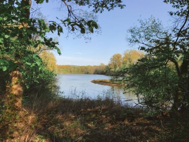 Arka planda ağaçlar olan bir göl. Ağaçlar yeşil ve gökyüzü mavi. Göl sakin ve huzurlu.