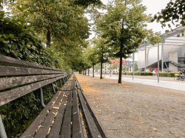 Arka planda ağaçlar olan bir parkta bank. Barışçıl açık hava ortamlarını ve dinlenme anlarını resmetmek için ideal..