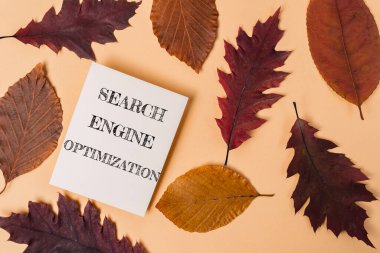 Arama motoru optimizasyonu, arama motoru sonuçlarında bir web sitesinin görünürlüğünü geliştirme sürecidir. Anahtar kelime araştırması, sayfa optimizasyonu gibi çeşitli teknikleri içerir.