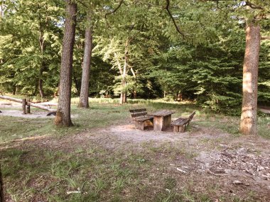 Ormanlık alanda bir piknik masası kurulur. Masa birkaç bank ve birkaç ağaçla çevrili. Sahne huzurlu ve sakin, ağaçların arasından süzülen güneş ışığı...