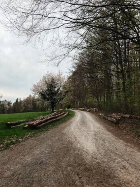 Her iki tarafında ağaçlar ve bir kaç kütük olan bir yol. Yol boş ve gökyüzü bulutlu.