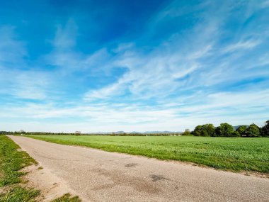 Arka planda açık mavi gökyüzü olan bir yol. Gökyüzü bulutlarla kaplı ve çimenler yemyeşil.