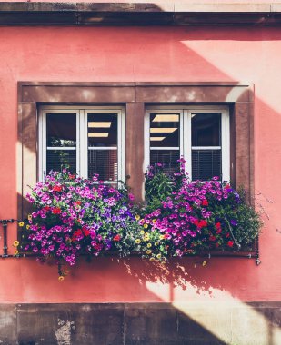 Pencerenin pervazında çiçek kutusu var. Çiçekler çeşitli renklerdedir ve tamamen çiçeklidir. Pencere, dışı pembe olan bir binanın üzerinde.