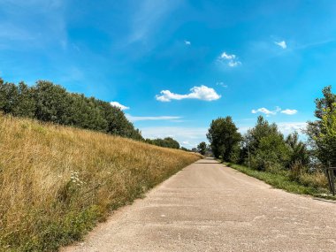 İki tarafında da ağaç çizgisi olan bir yol. Yol boş ve gökyüzü mavi.