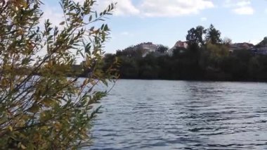 Ön planda ağaç dalı olan bir su kütlesi. Su sakin ve gökyüzü bulutlu.