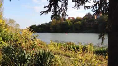 Önünde bir ağaç, arkasında da bir ev olan sakin bir nehir manzarası. Su sakin ve ağaç görüntüye bir sükunet hissi veriyor.