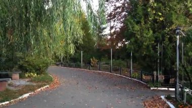 Ağaçların ve yaprakların olduğu bir parkta patika. Yapraklar kahverengi ve yere saçılmış.