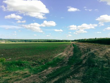 Ortasında toprak yol olan bir tarla. Gökyüzü bulutlarla mavi.