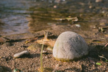 Kaya kumun üzerinde bir su kütlesinin yanında duruyor. Kaya küçük ve gridir ve birkaç başka kayayla çevrilidir. Su sakin ve durgun, kum da kuru ve tozlu.
