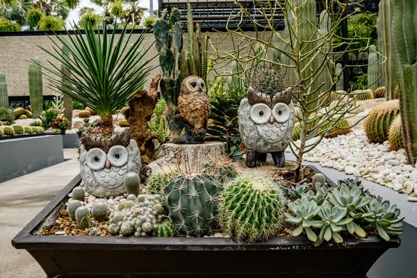 İki baykuş heykeli kaktüs ve diğer bitkilerle birlikte bir saksının içinde. Baykuş heykelleri saksının sol ve sağ tarafında.