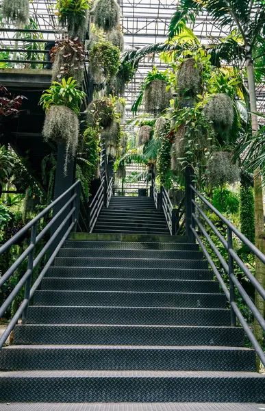 Üzerinde bitkiler büyüyen merdivenler. Bitkiler tavandan sarkıyor. Merdiven siyah ve metal parmaklıkları var.
