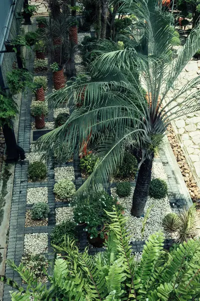 Bahçede bir sürü ağaç ve bitki var. Ağaçlar yeşil ve bitkiler küçük. Bahçede birçok farklı bitki türü vardır.