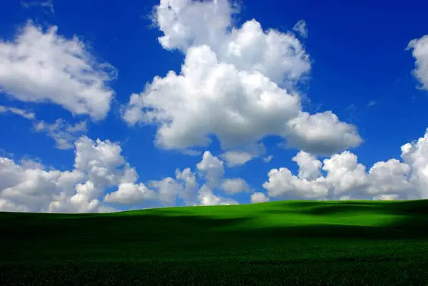 white spring clouds in the blue sky above a green cereal field, Tuscany, Italy