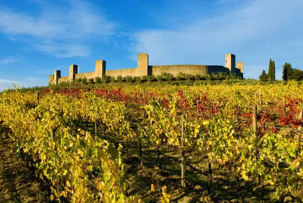 vineyard in autumn, fall, with yellow and red leaves, Castello Fortress of Monteriggioni, Tuscany, Italy, Europe