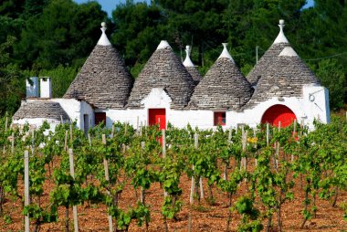 Alberobello, Apulia, Puglia, İtalya, Mayıs 2008, Alberobello yakınlarındaki bir şarap mahzeninde Trullo çiftliği.