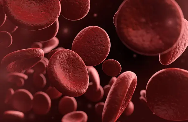 Blood cells close up