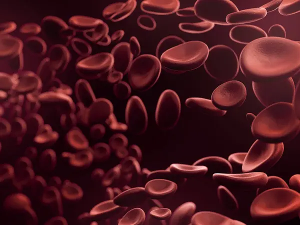 Bloedcellen Achtergrond Rood Stockfoto