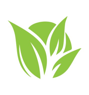 Vektör resminin yaprak logosu