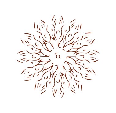 Güzel mandala sanatı, vektör mandala tasarımı