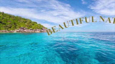 animasyon video içeriği ve grafik tasarımları